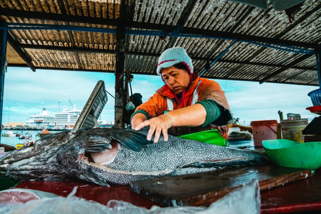 gender dynamics, climate change threats and illegal, unreported, and unregulated fishing