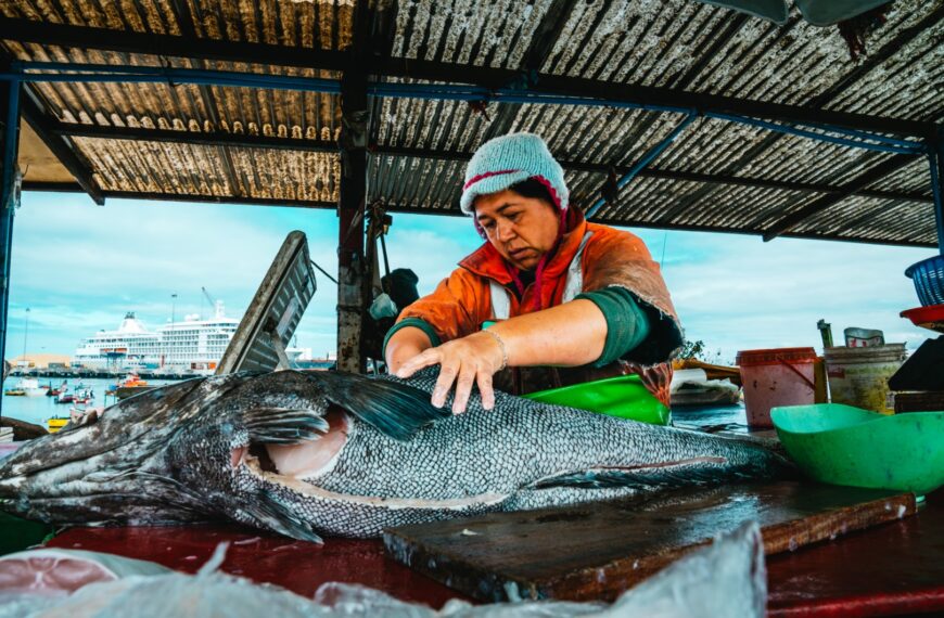 gender dynamics, climate change threats and illegal, unreported, and unregulated fishing