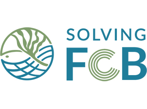 solvingfcb